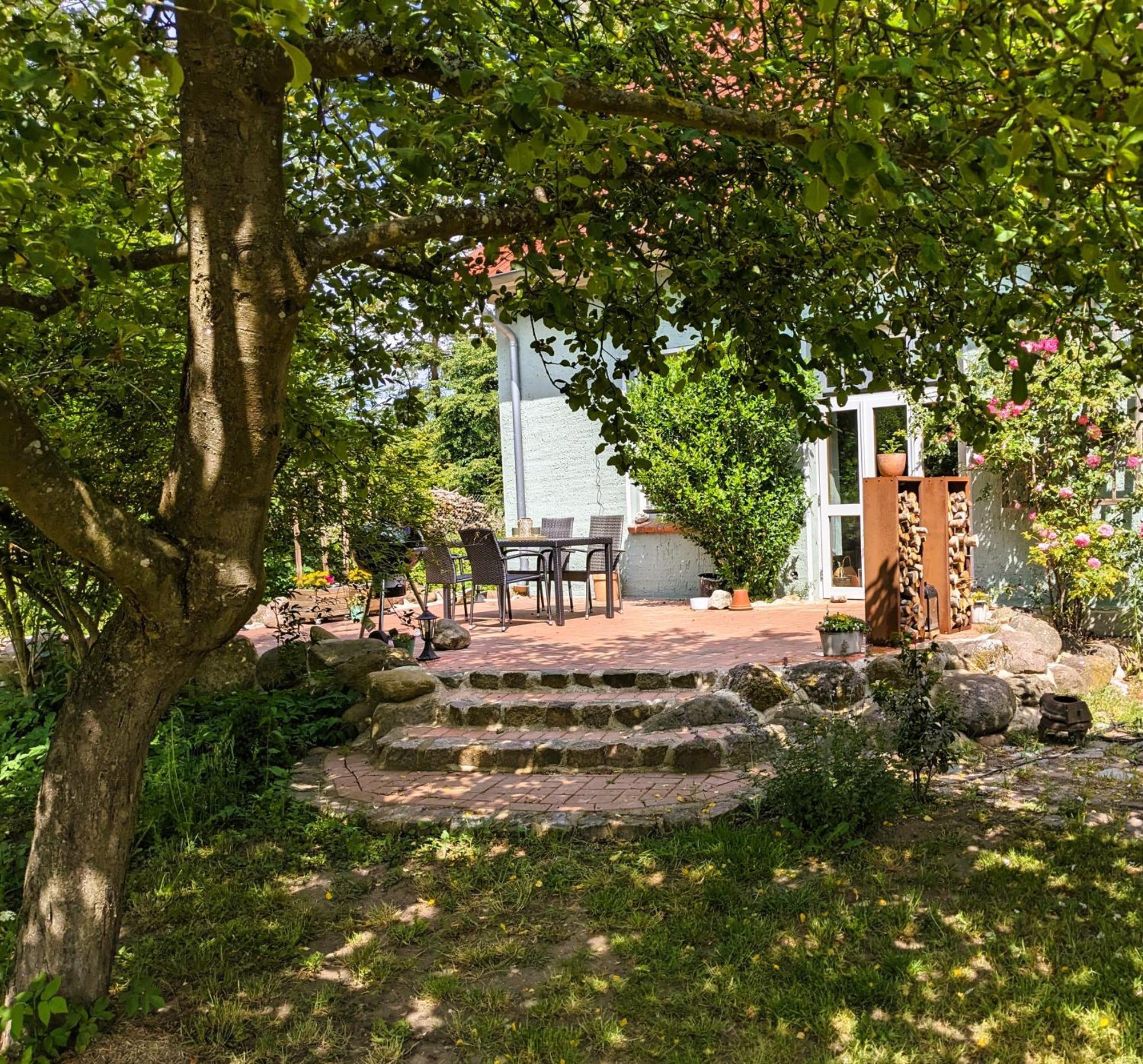 Ferienhaus Salvia Gremersdorf-Buchholz Экстерьер фото